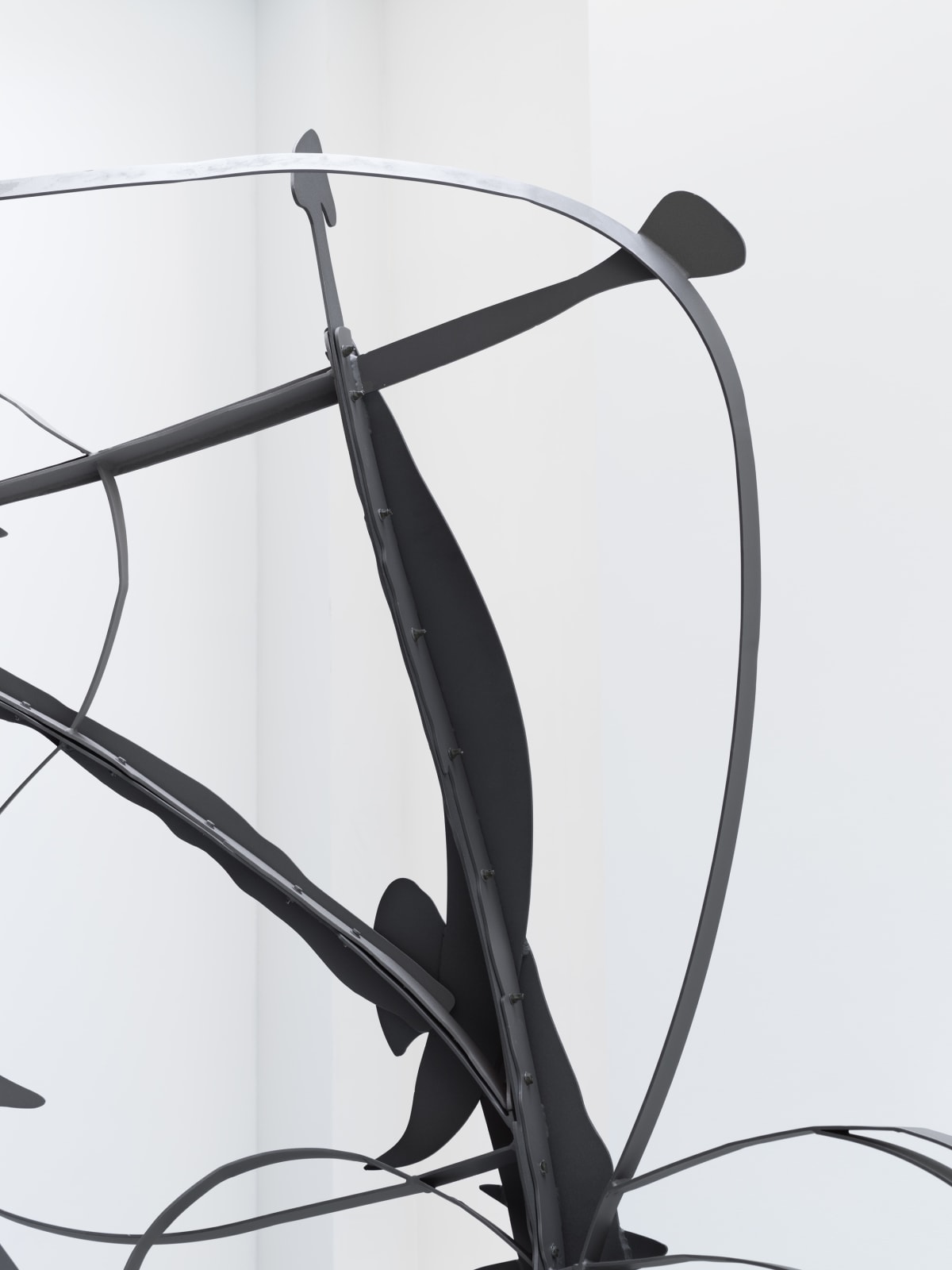 MATTHEW RITCHIE, Shadow Drawing, 2022