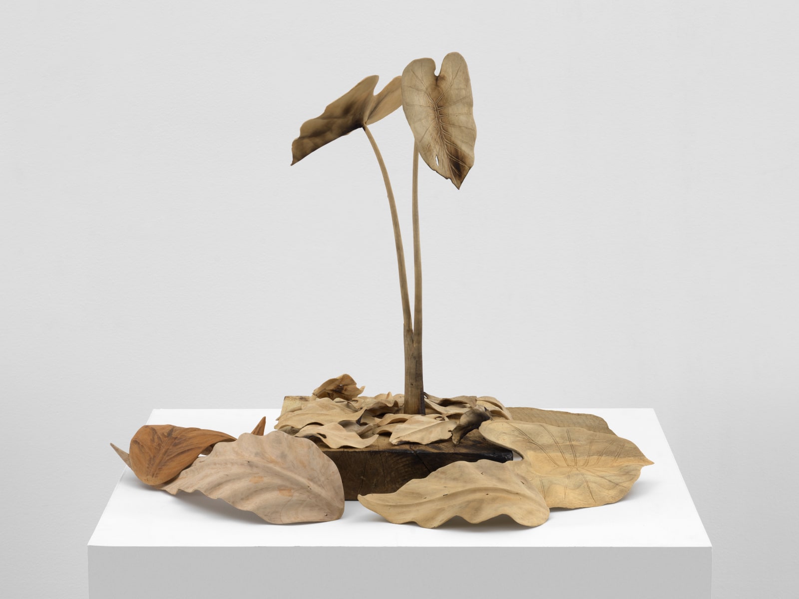 TUAN ANDREW NGUYEN, Not The Smell of Napalm, 2019