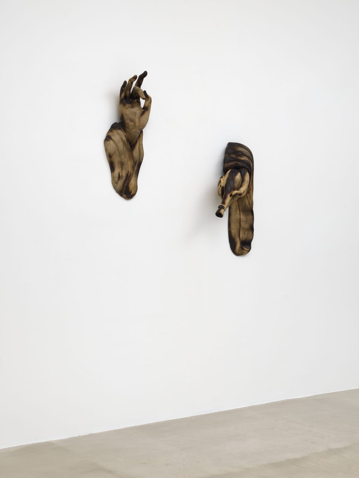 TUAN ANDREW NGUYEN, The Offering Of A Sentient Cry, 2019