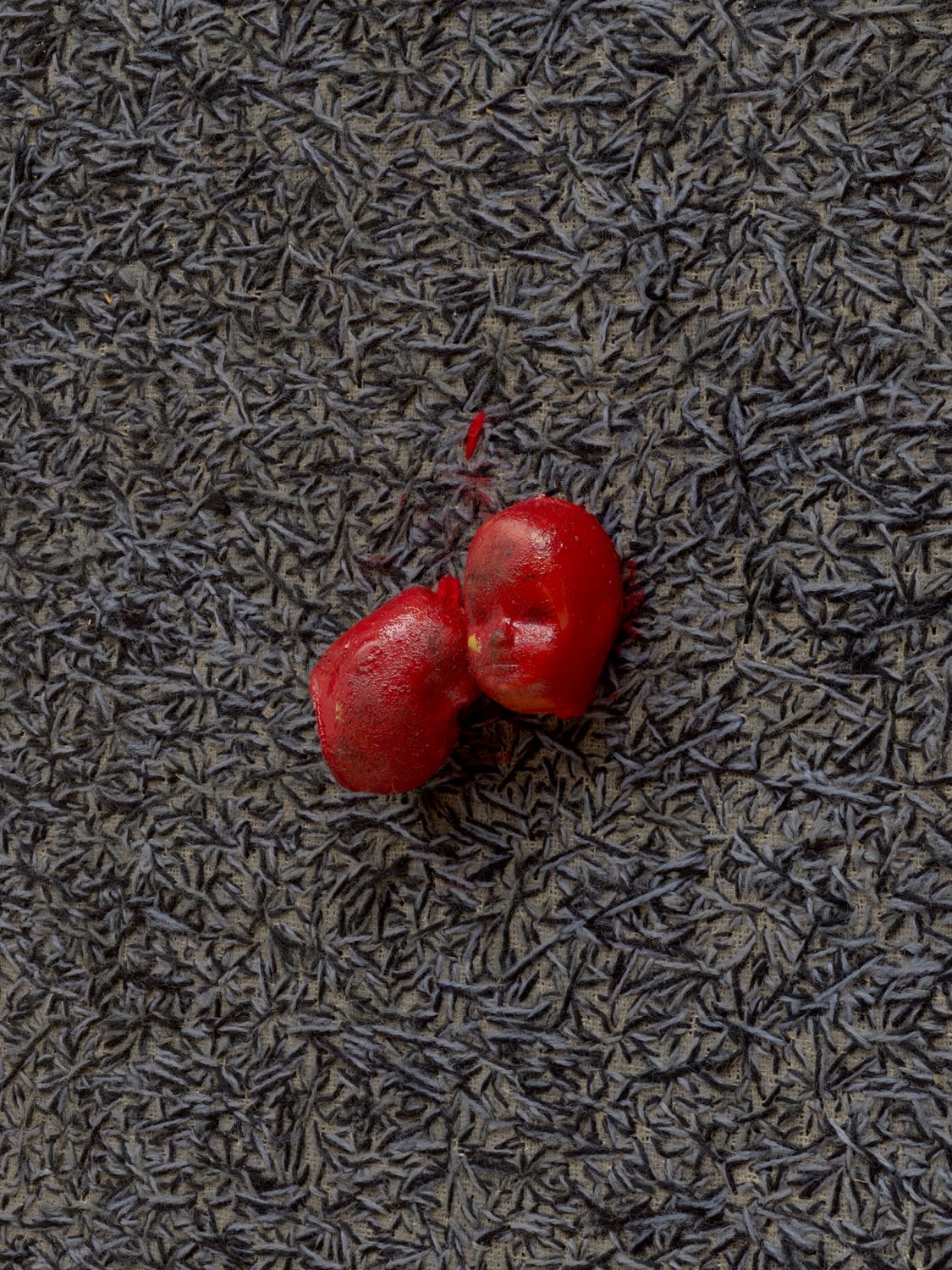 ELIAS SIME, Ants & Ceramicists 3, 2009