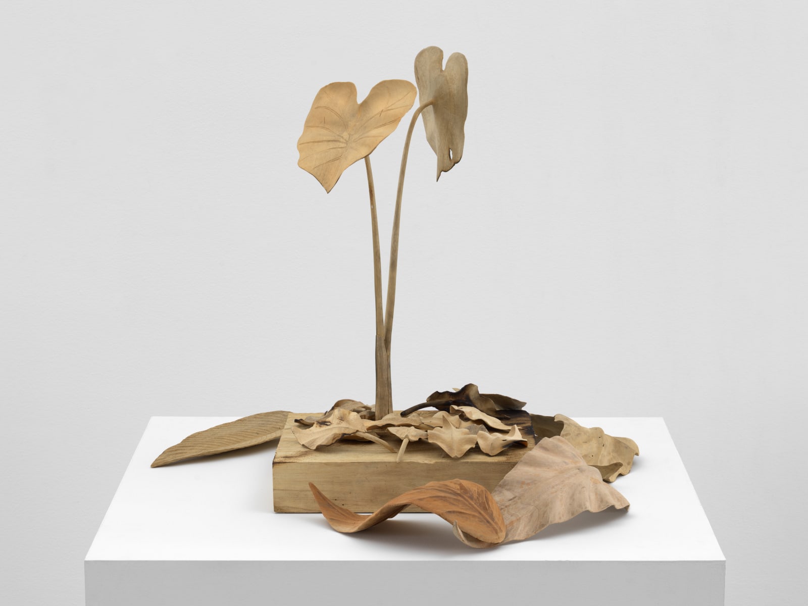 TUAN ANDREW NGUYEN, Not The Smell of Napalm, 2019