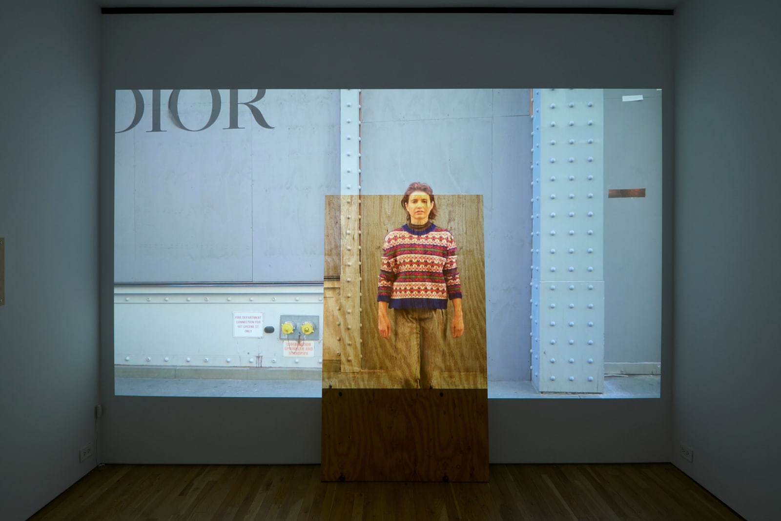 Kristin McIver, The Divided Line, 2020