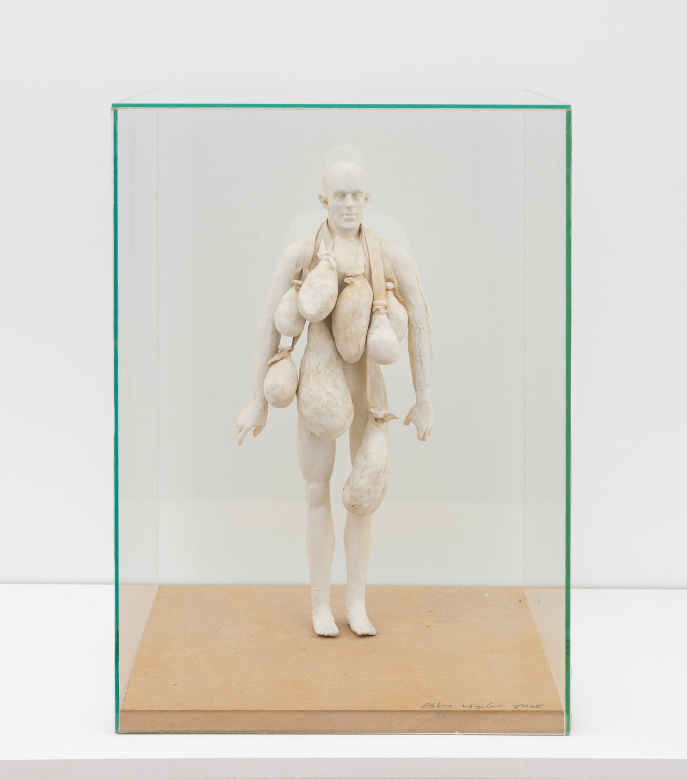 Allan Wexler, Body / Glassware Studies, Carry, 2018