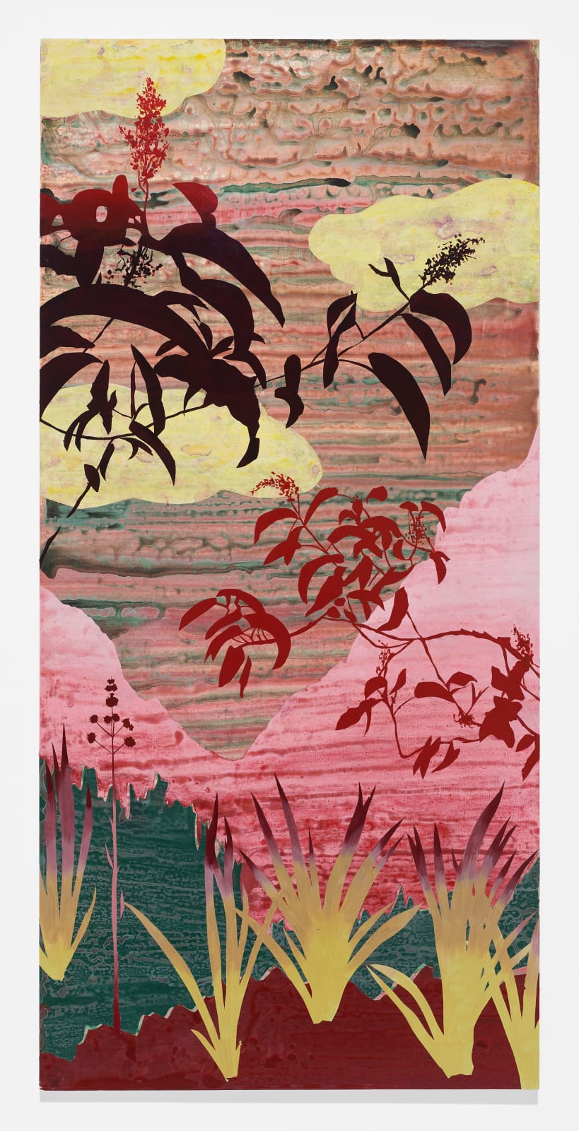 Eva Struble, Laurel Sumac, 2021