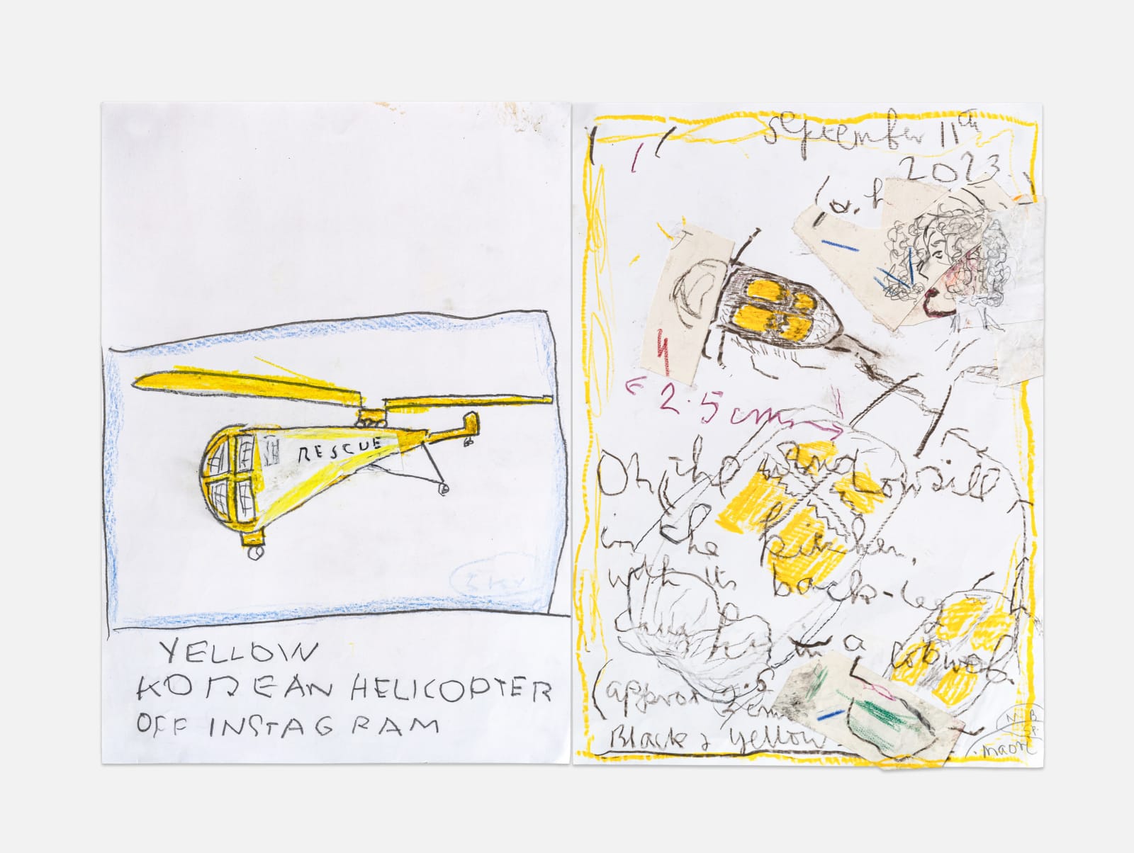 Rose Wylie, Korean Helicopter (off Instagram) and Newnham Beetle, 2021-2023