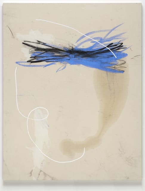 Jenny Brosinski, Hairy thing, 2019