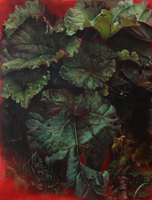 Helena Parada-Kim, Pestwurz, 2018