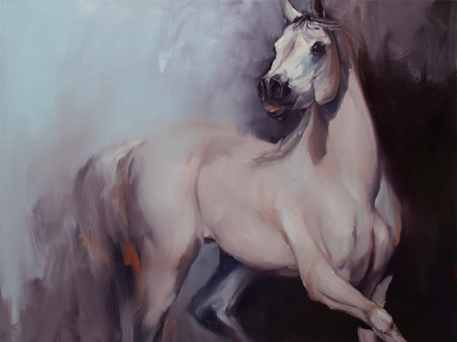 Zil Hoque, Equus Arabicus I, 2024