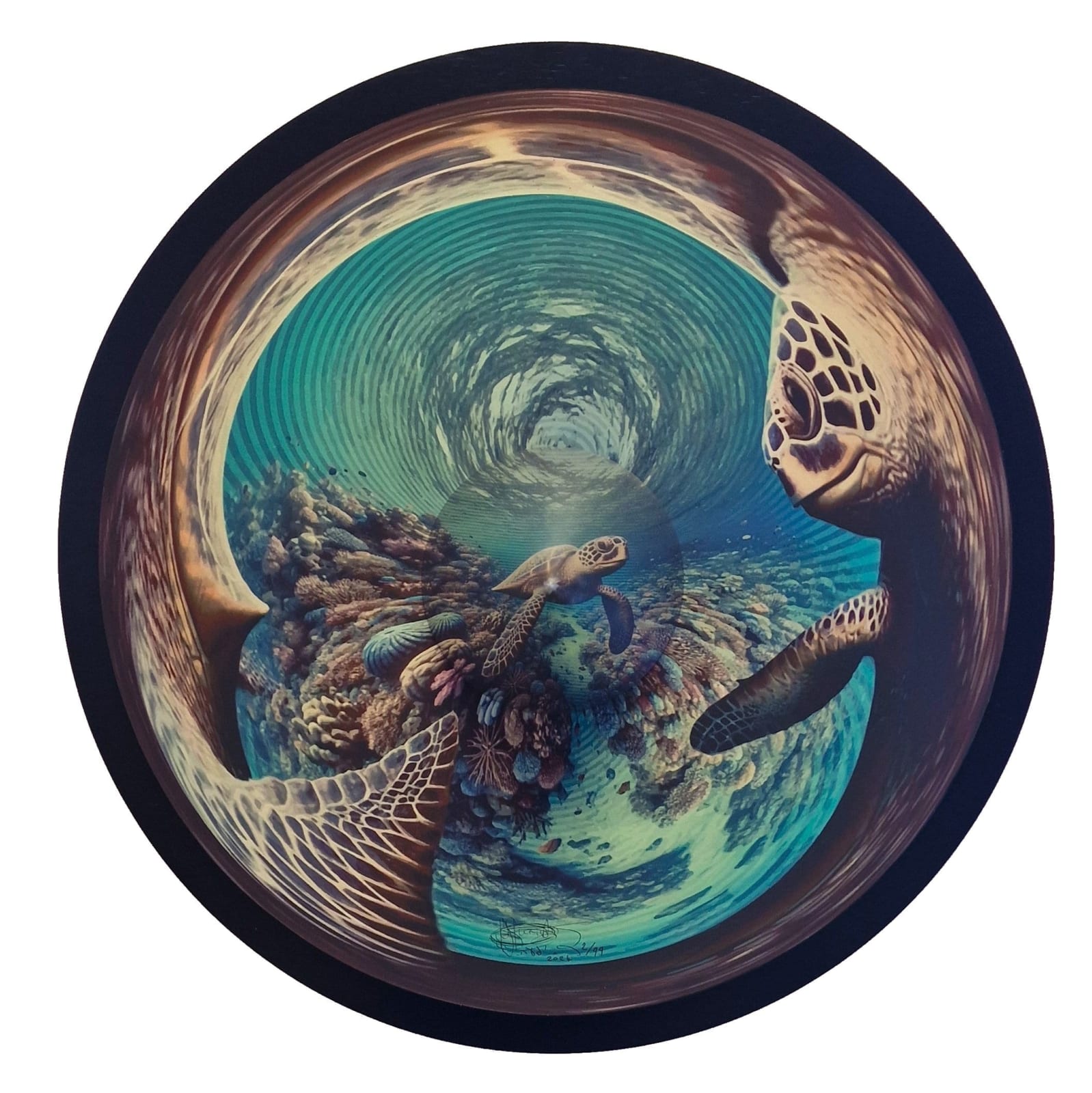 Jonty Hurwitz, Slow Motion (African Inspiration Collection) - Turtle, 2024