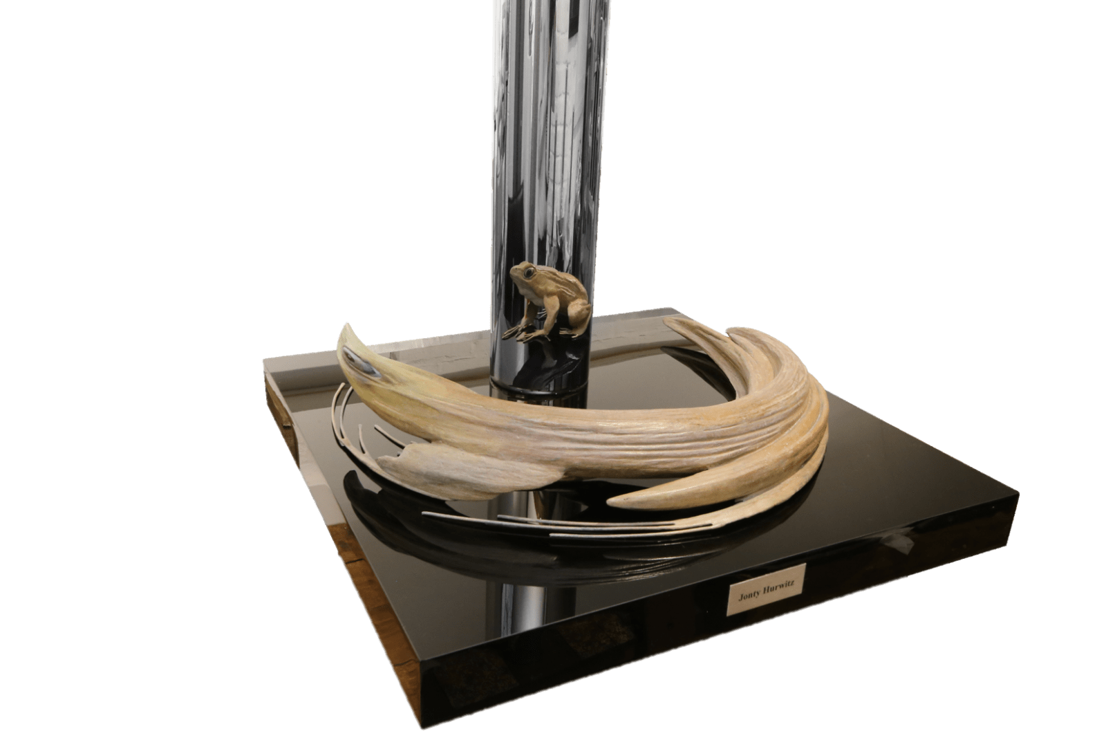 Anamorphic Art Mirror with Frog. Jonty Hurwitz artist, sculpture entitled: Long Day in Pretoria with Frog