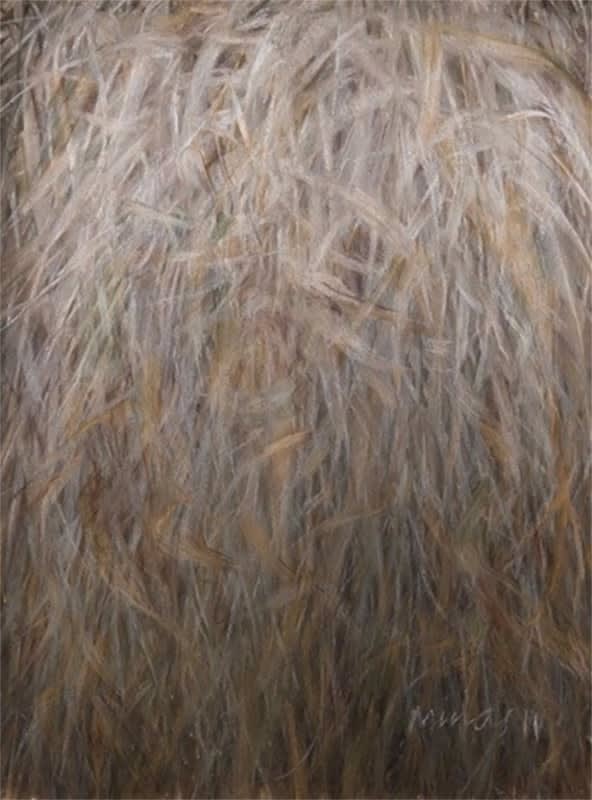 Michael Minas, Grasses at Linden road