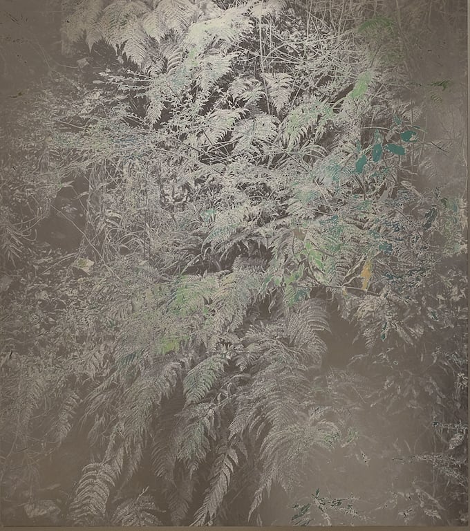 Masayoshi Nojo, Mirage#35, 2019