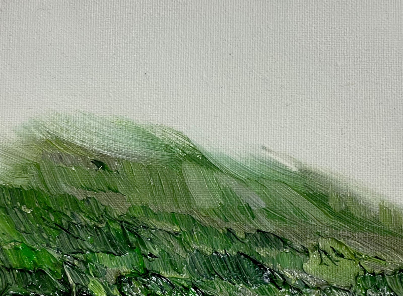 Conrad Jon Godly, Studie 48, 2020