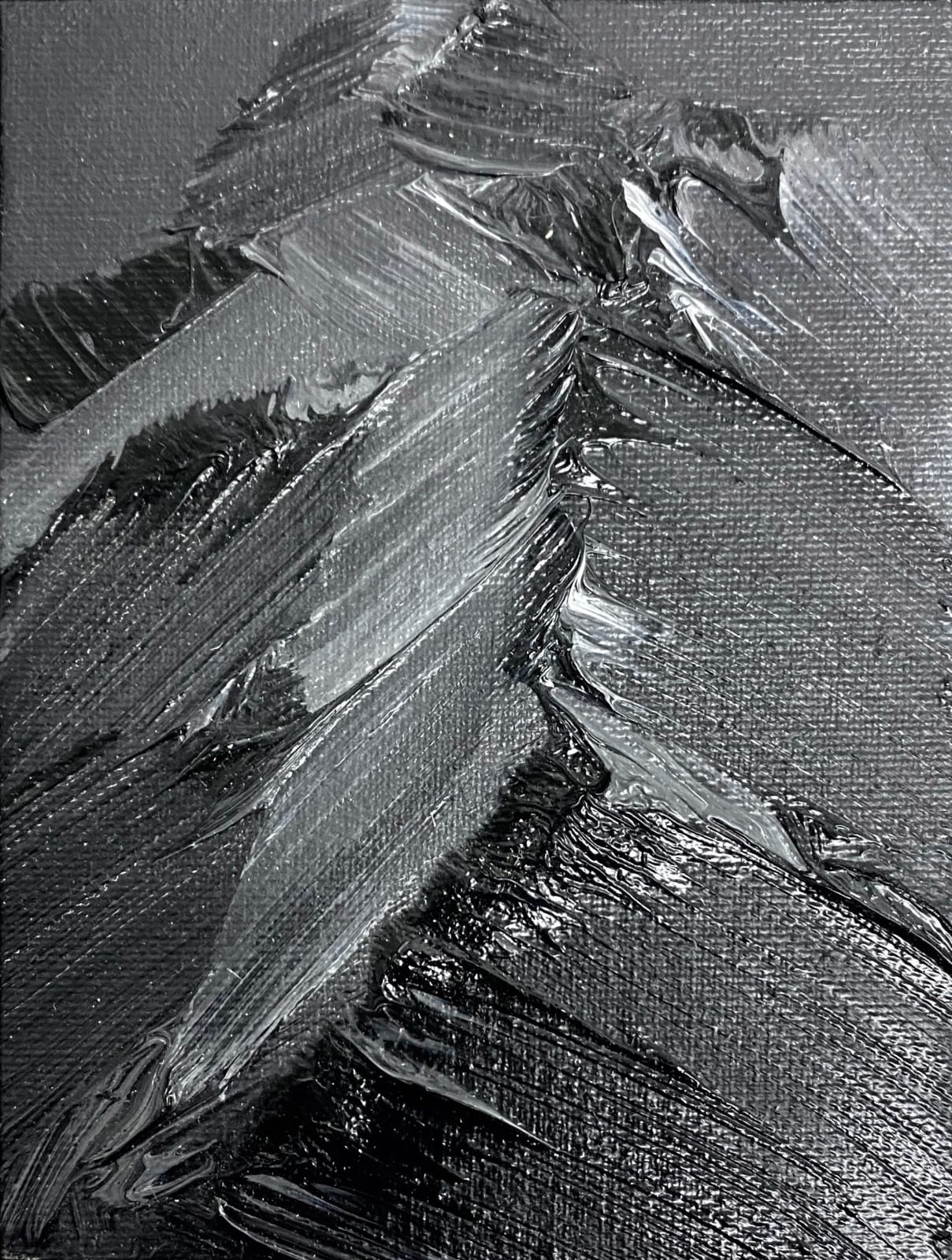 Conrad Jon Godly, Studie 40, 2020