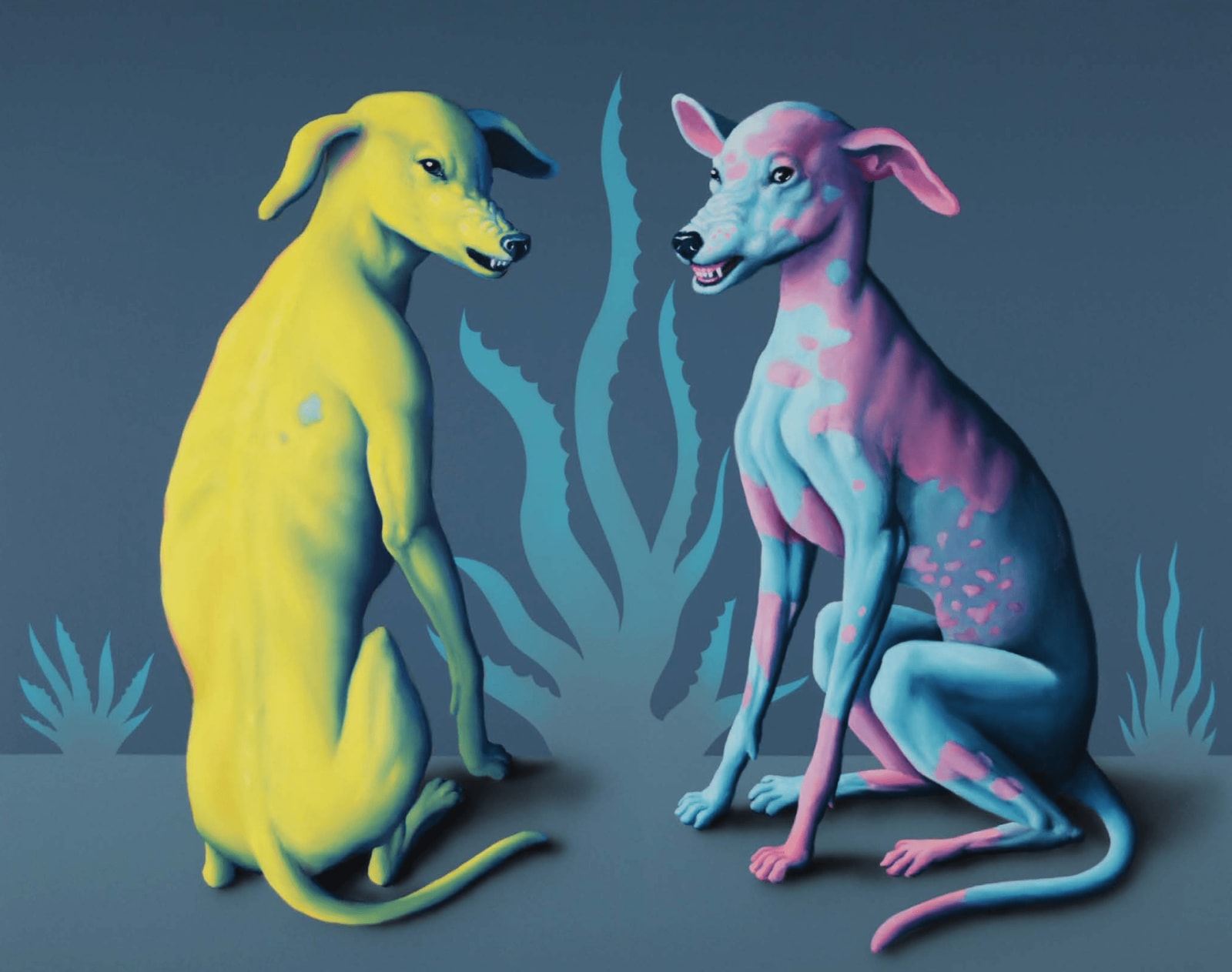 Máté Orr, Morzsi And Folti, 2024