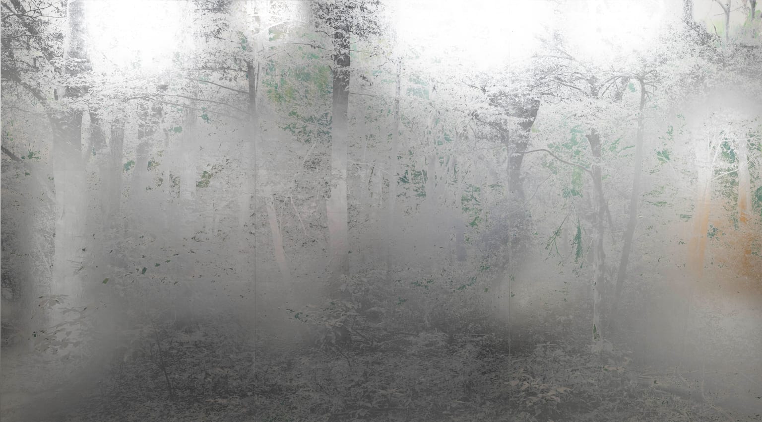 Masayoshi Nojo, Mirage#48, 2019