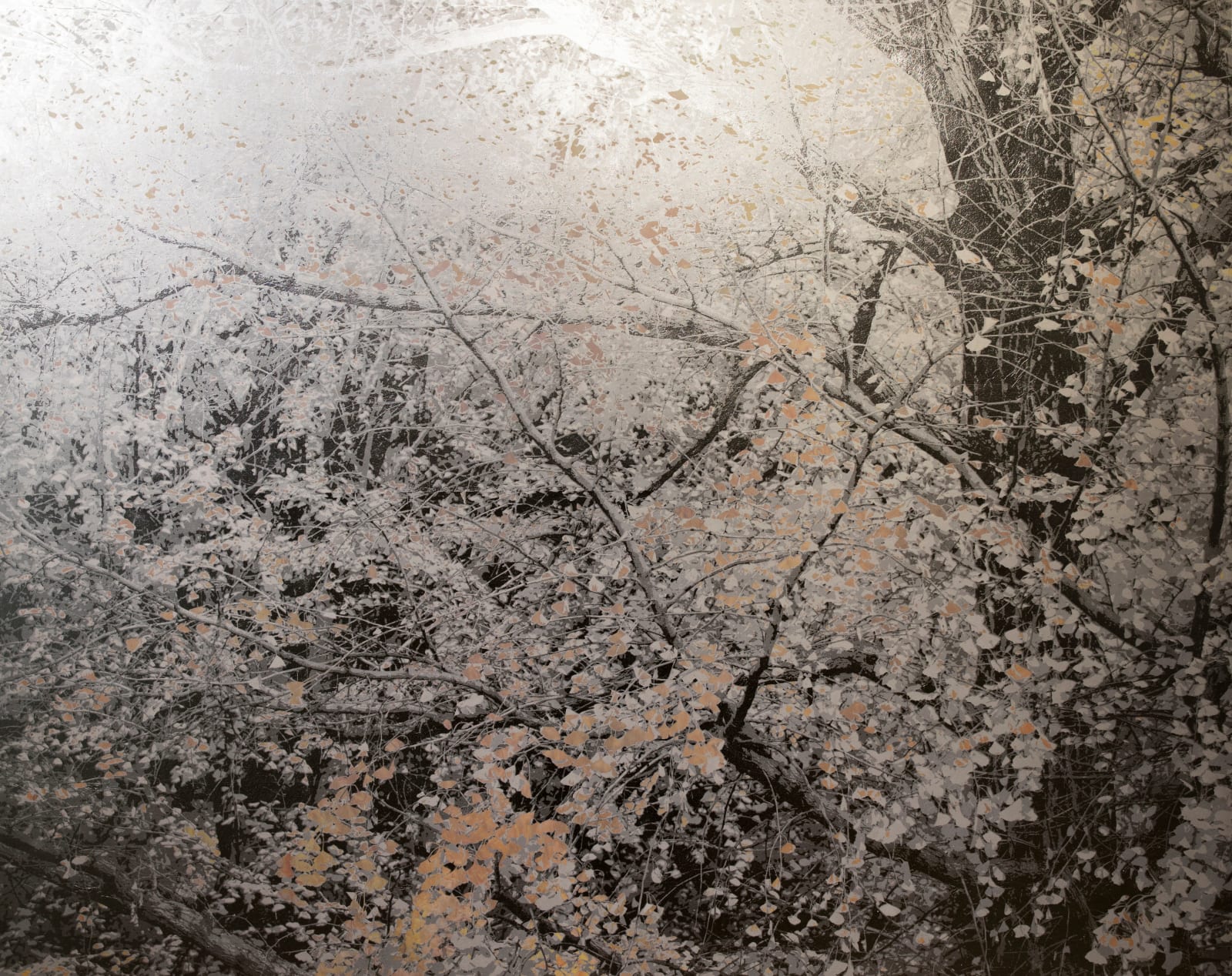 Masayoshi Nojo, Mirage#43, 2019
