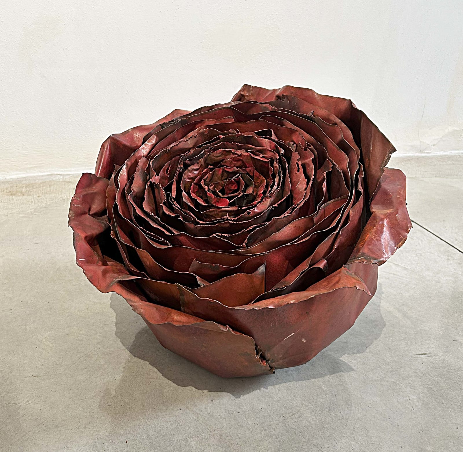 Francesca Leone, Arch. 524, 2025
