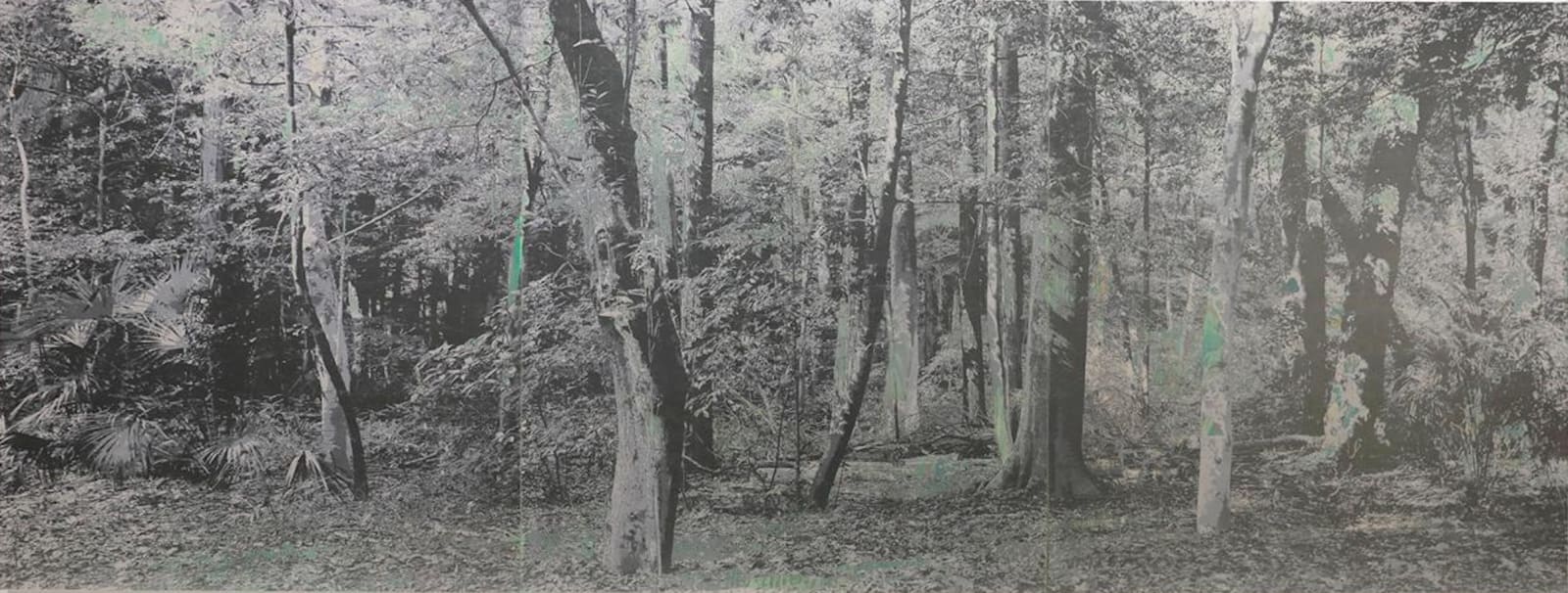 Masayoshi Nojo, Mirage #117, 2025