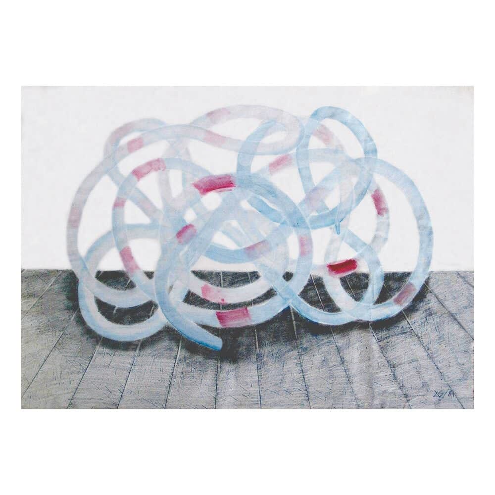 Decebal Scriba, Installation project, 1984