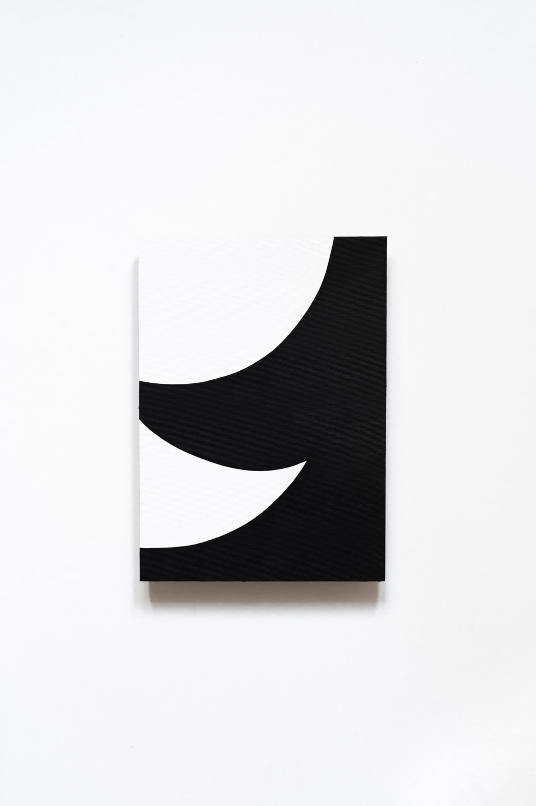 Mihaela Hudrea, Fantasma 15, 2025