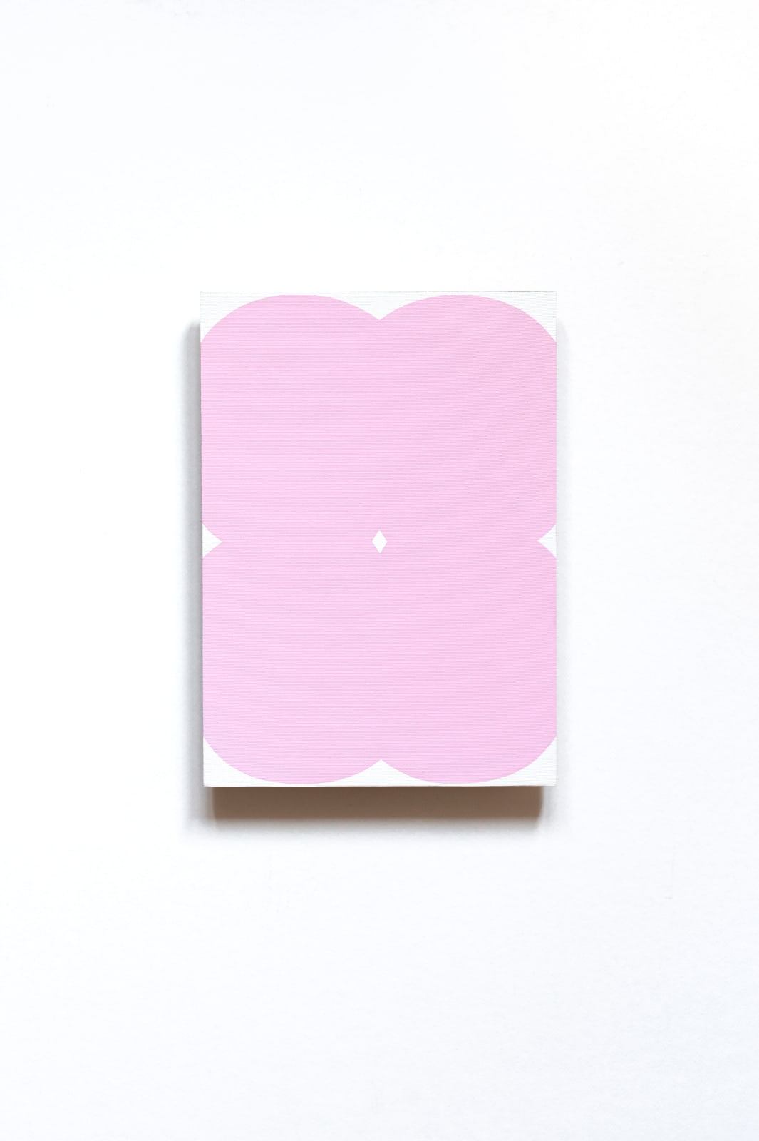 Mihaela Hudrea, Fantasma 9, 2024