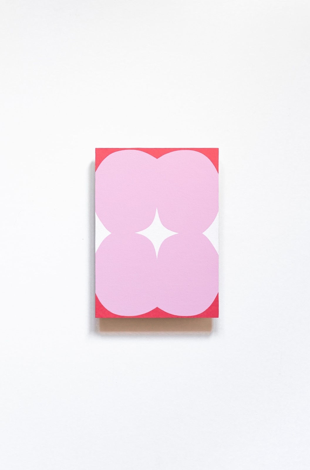 Mihaela Hudrea, Fantasma 6, 2024