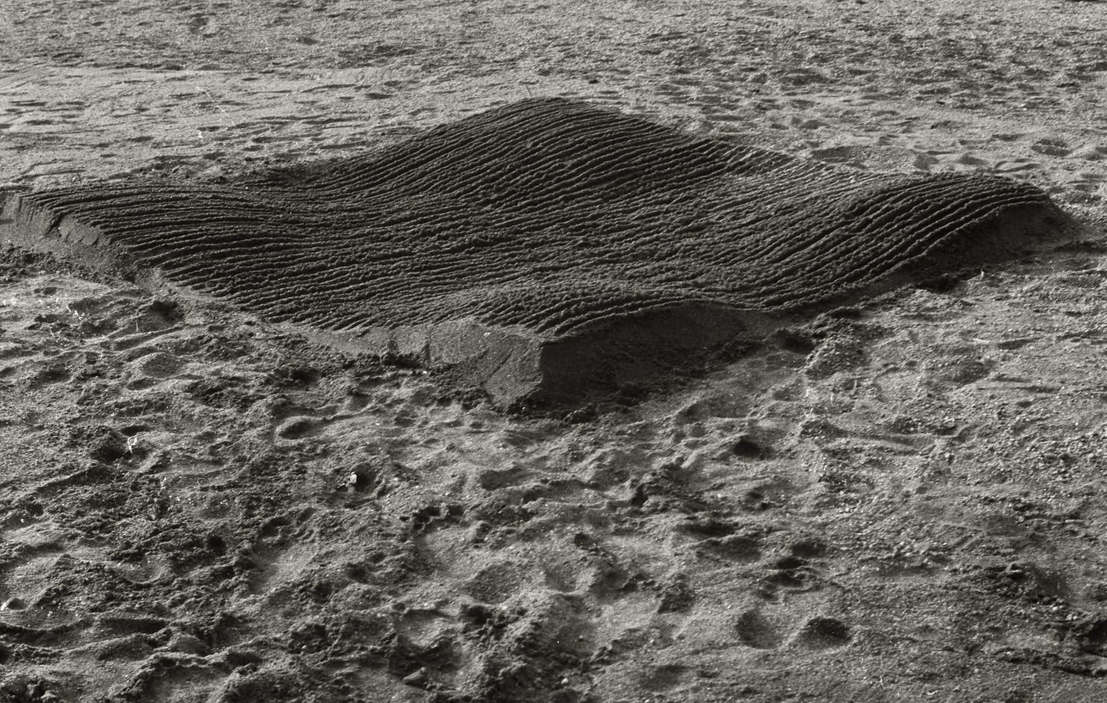 Doru Tulcan, Mundus - Subjective tompometrys, 1983