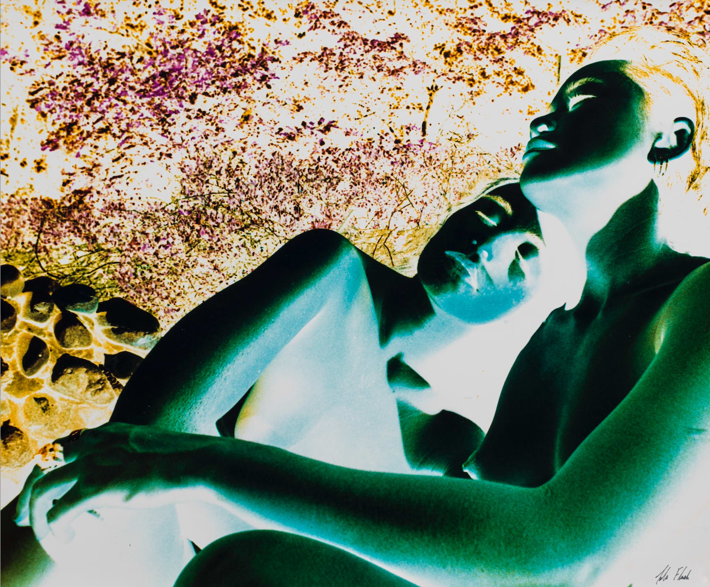 Lola Flash, Basking, Provincetown, Mass (Cross-Colour Series), 1988