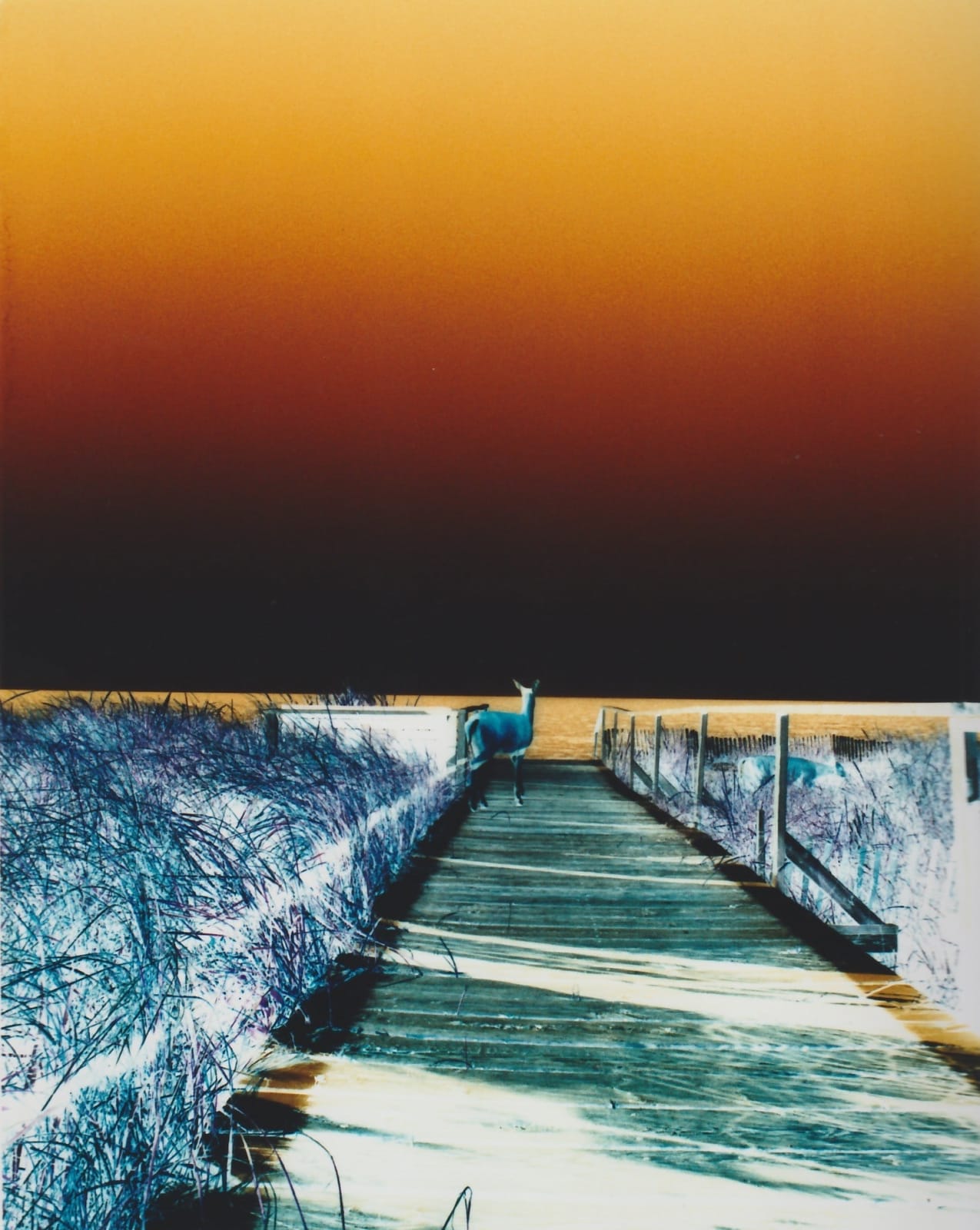 Lola Flash, Deer 2, Fire Island (Cross-Colour Series), 1994