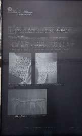 Emily Velez Nelms, Coins and Pearls Over Julia Tuttle Causeway, 2022