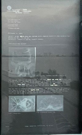 Emily Velez Nelms, Coins and Pearls Over Julia Tuttle Causeway, 2022