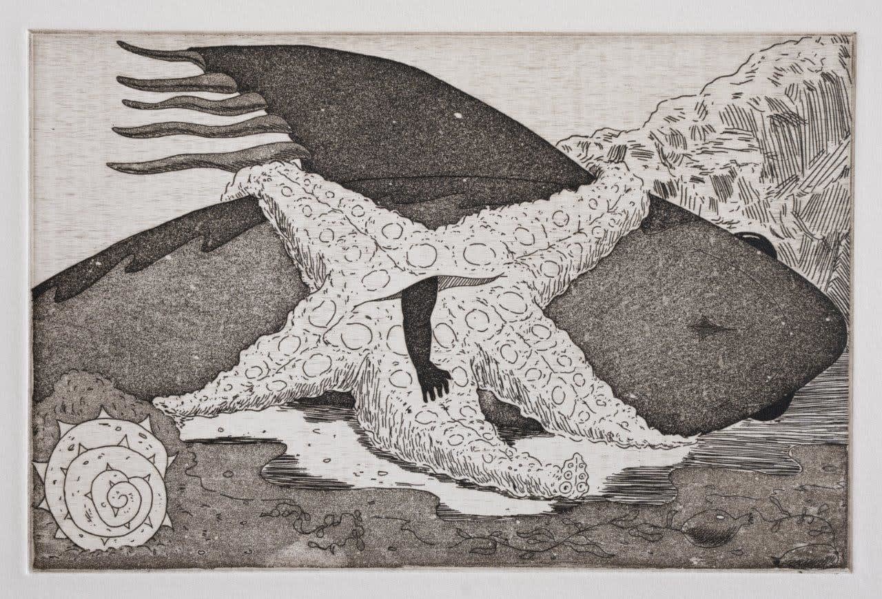 Alex Jackson, The Landing of E (Asteroidea), 2023