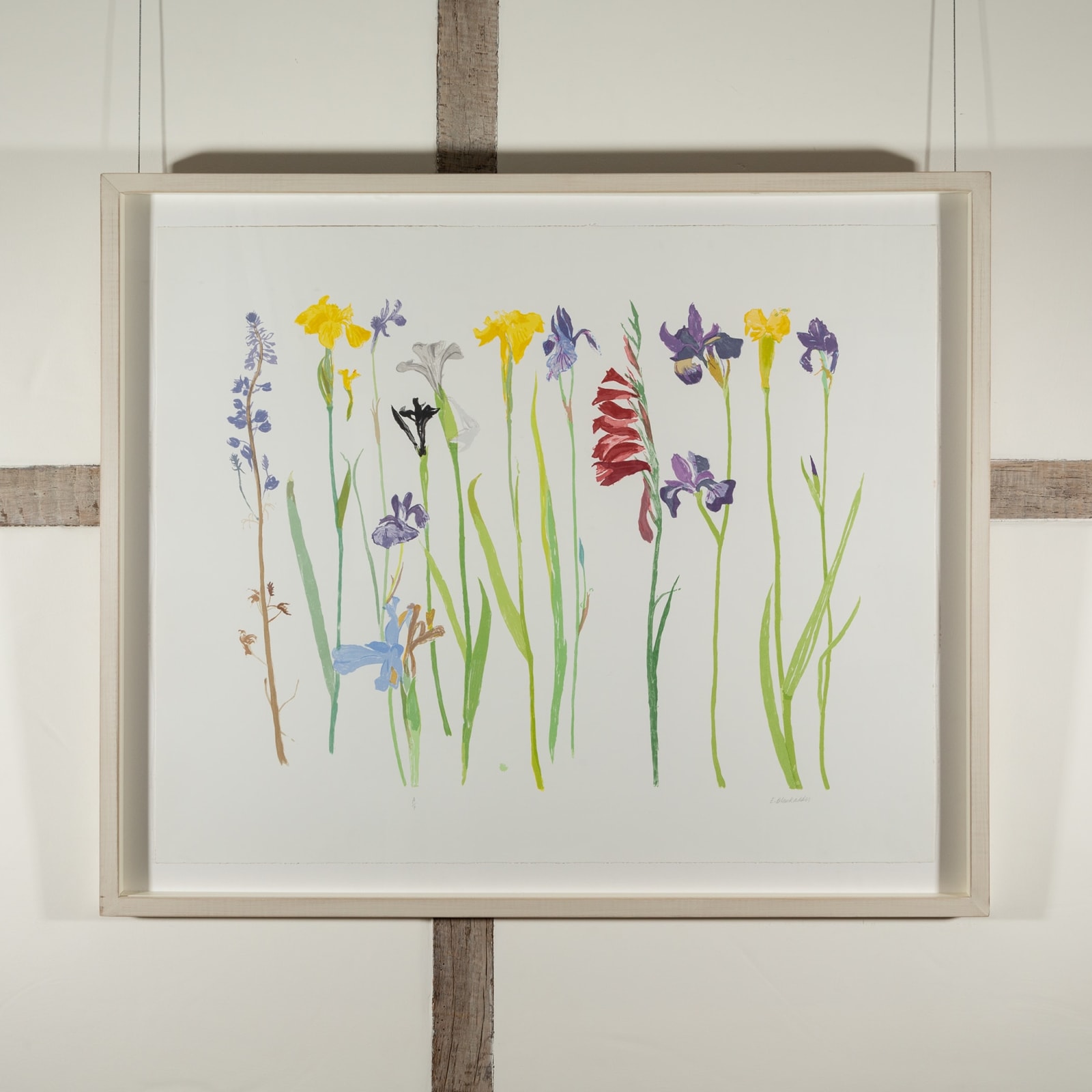 Elizabeth Blackadder, Wild Flowers, 2013