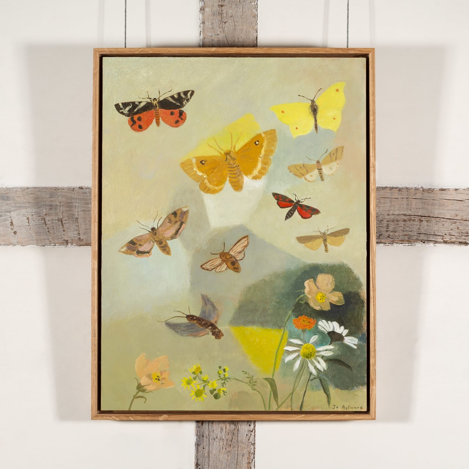 Jo Aylward, Eleusine Moths and Butterflies, 2024