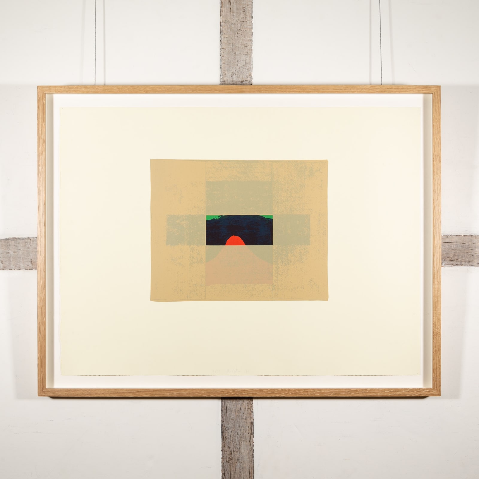 Howard Hodgkin, E, from Indian Views, 1971