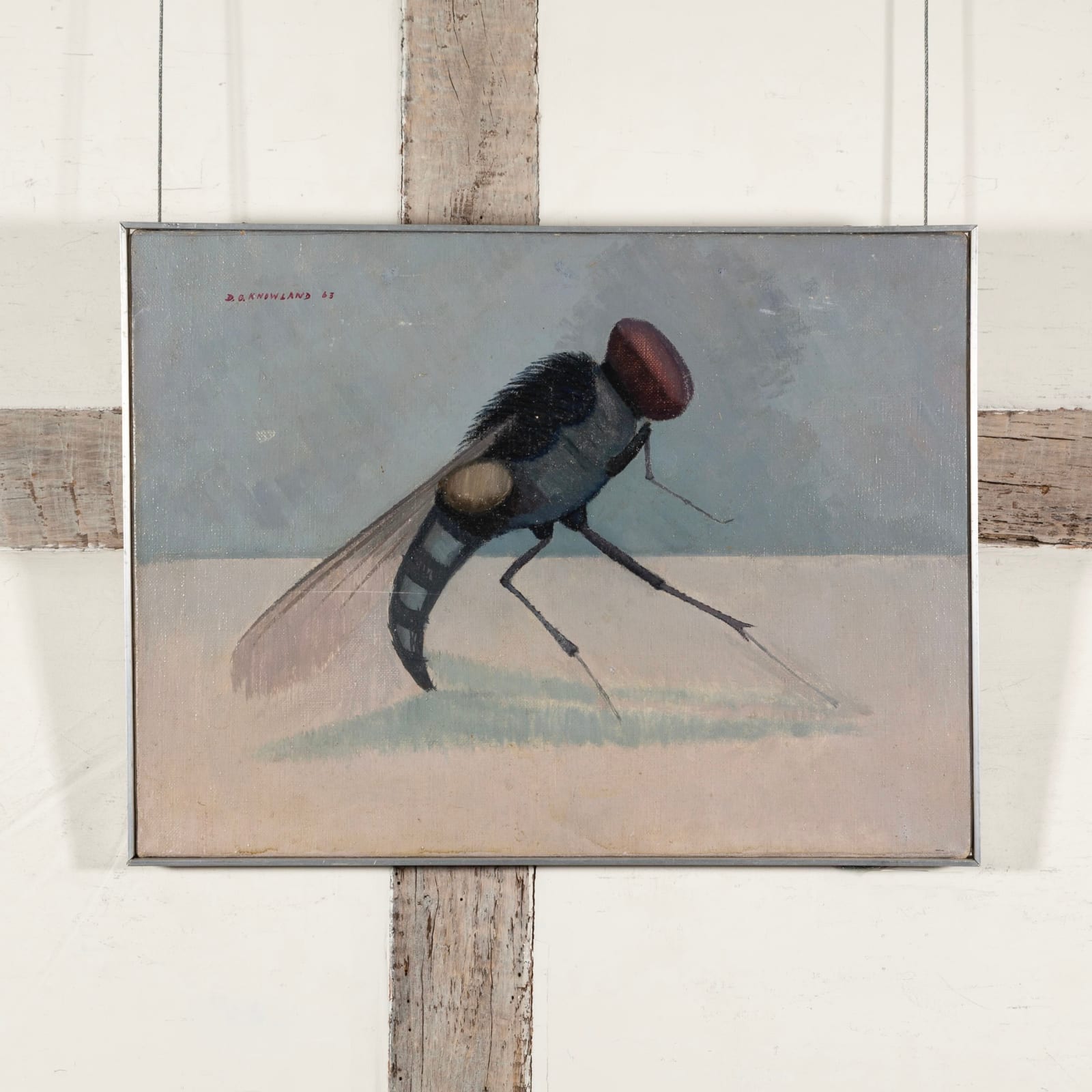 Dennis Knowland, Insect - The Fly, 1963