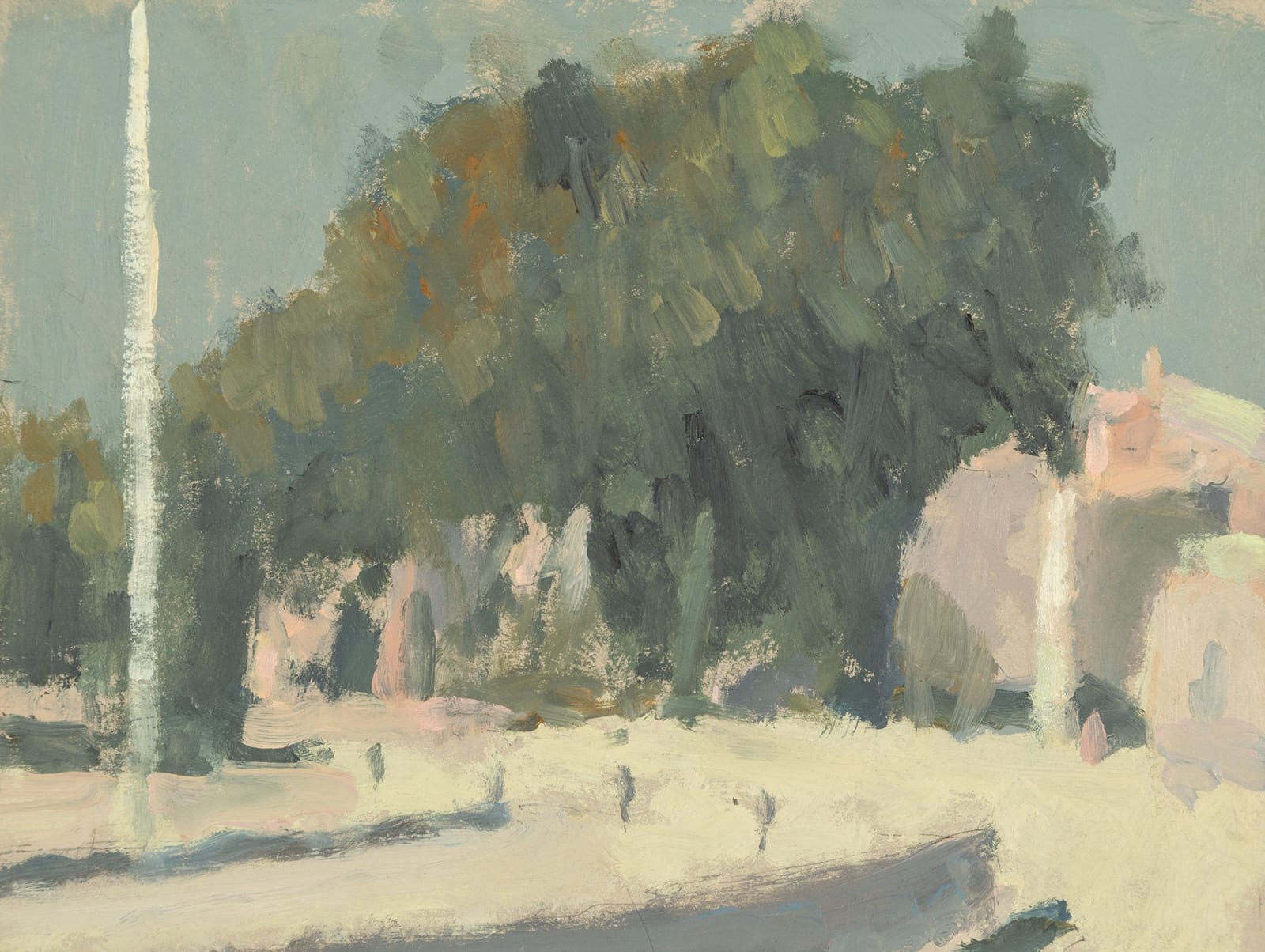 Nicholas Turner, Trees at Valbonne, Nice, 2025