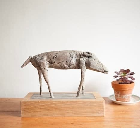 Christopher Marvell, Small Wild Pig