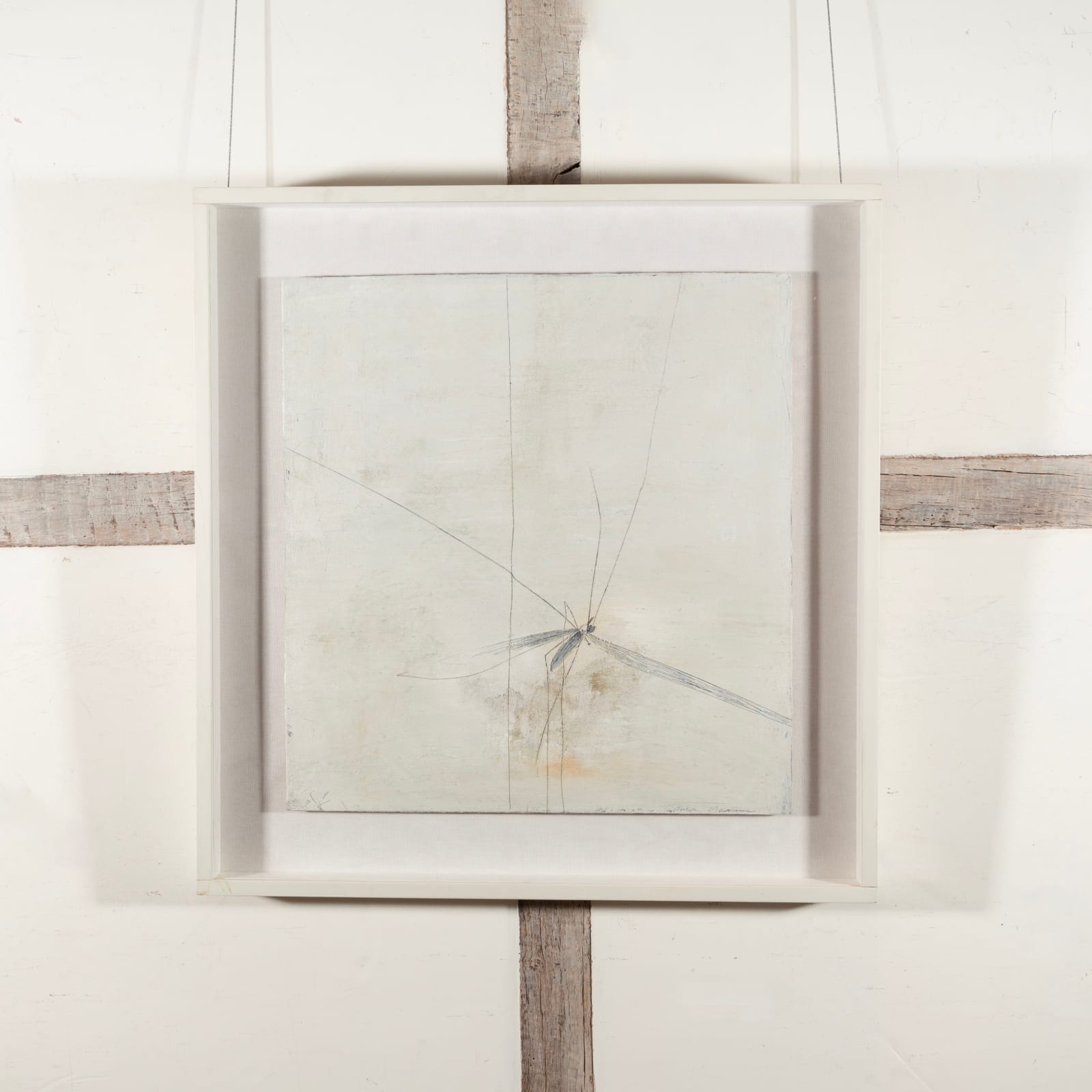 Keith Purser, Tipula Maxima, 2008