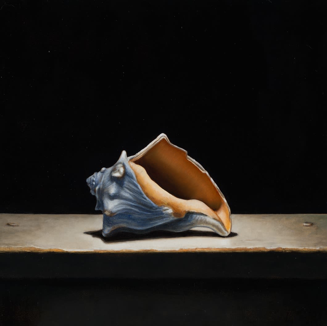 Christopher Clamp, LAZULI SHELL STUDY, 2024