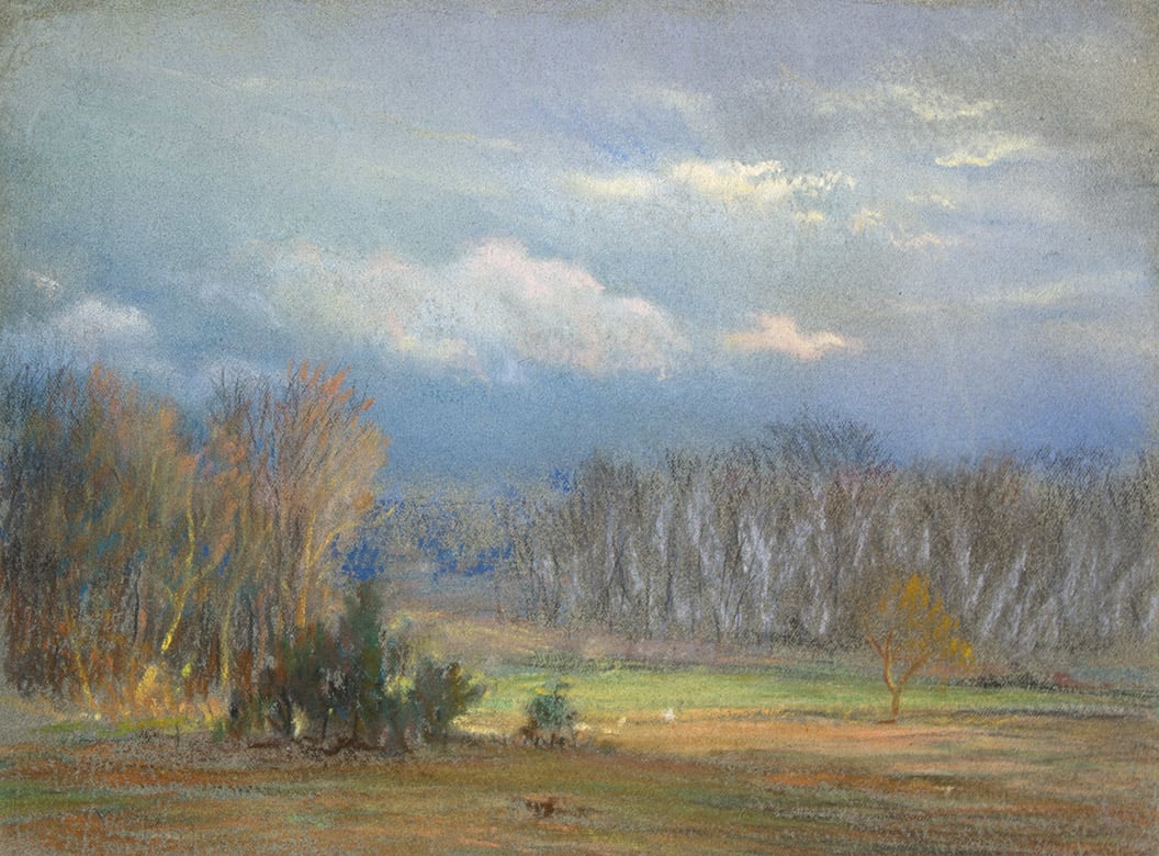 William Partridge Burpee, MEADOW BETWEEN STANDS OF TREES
