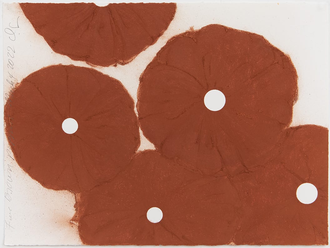 Donald Sultan, FIVE BROWN POPPIES MARCH 4 2022, 2022