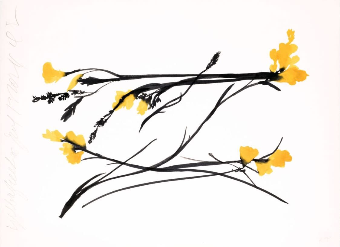 Donald Sultan, YELLOW FREESIA JUNE 13, 2024, 2024