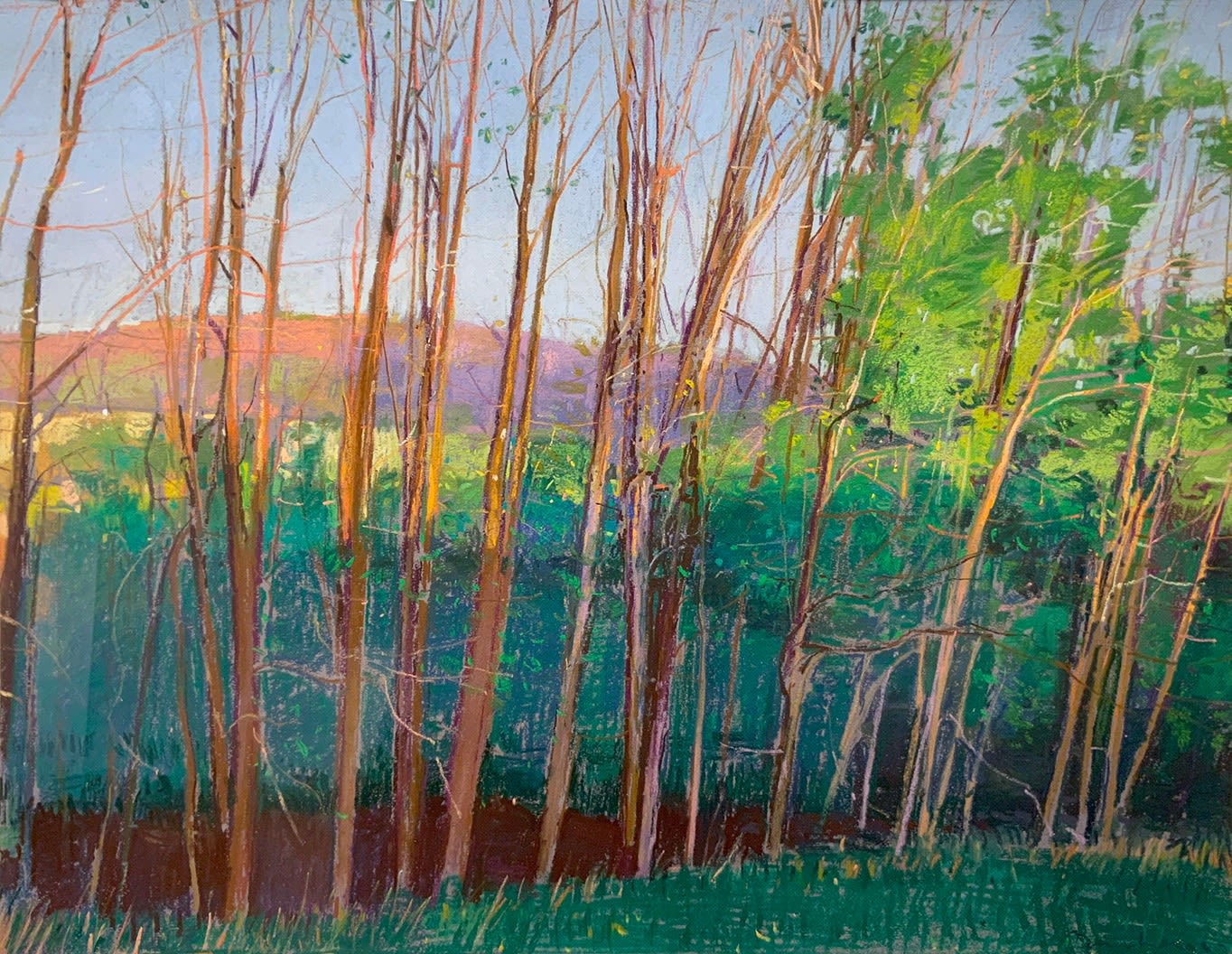 Charles Basham, SPRING BLUSH, 1993