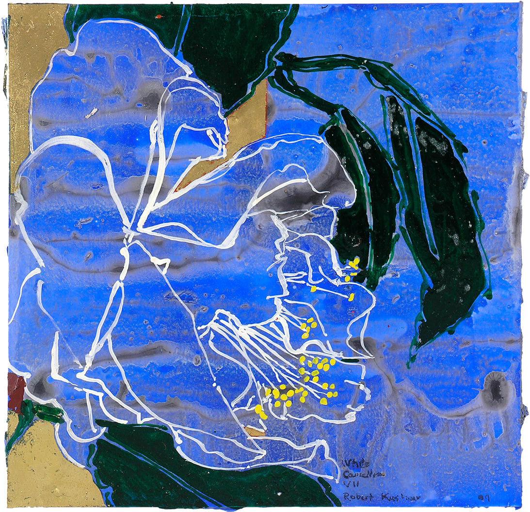 Robert Kushner, WHITE CAMELLIA VII, 2009