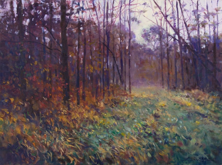 Thomas McNickle, PINE WOODS-UWHARRIE NATIONAL FOREST, 2008
