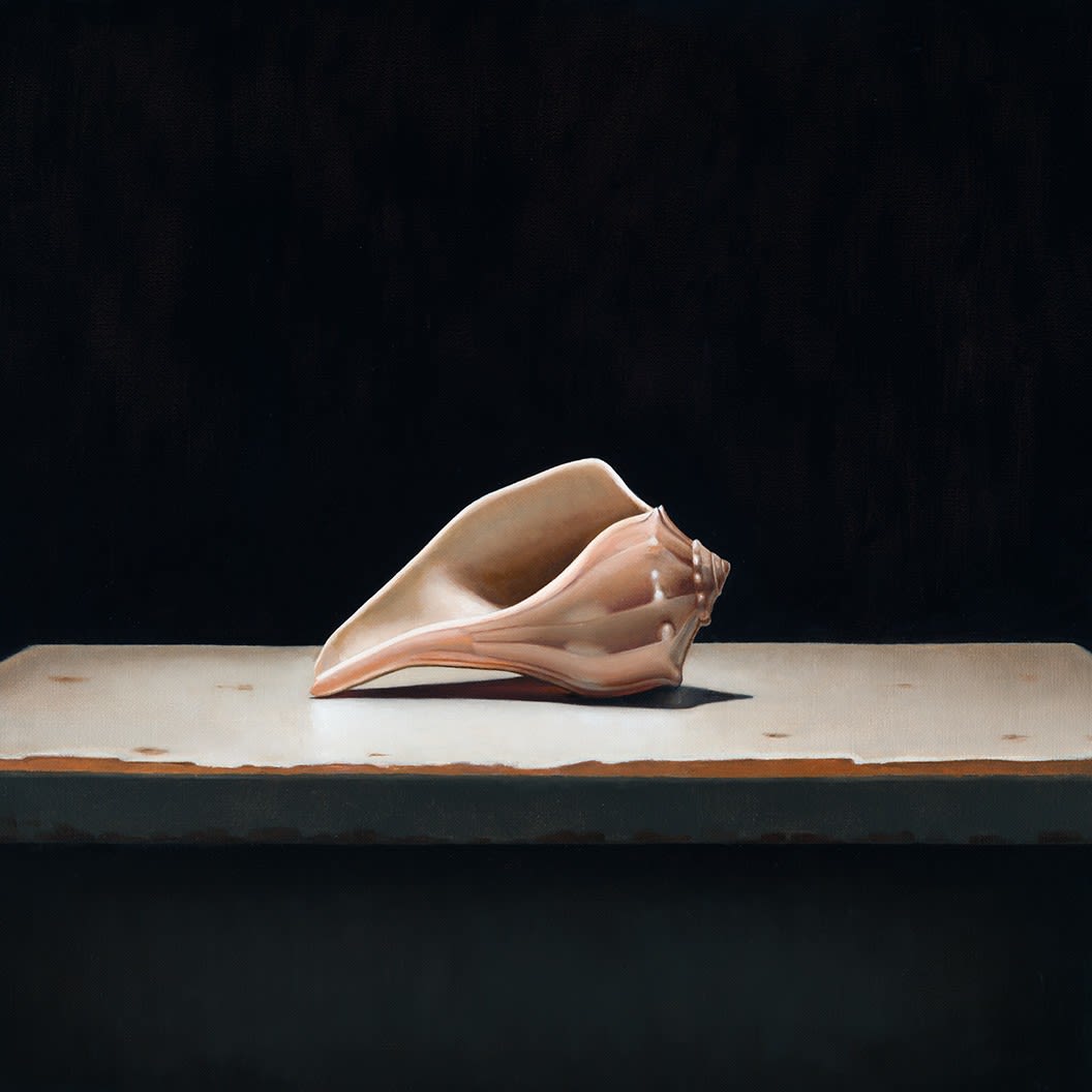 Christopher Clamp, SEA SHELL II, 2024
