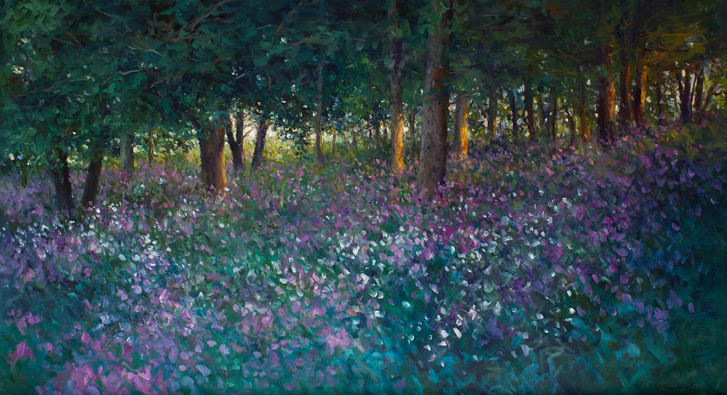 Thomas McNickle, WILD PHLOX, 2011