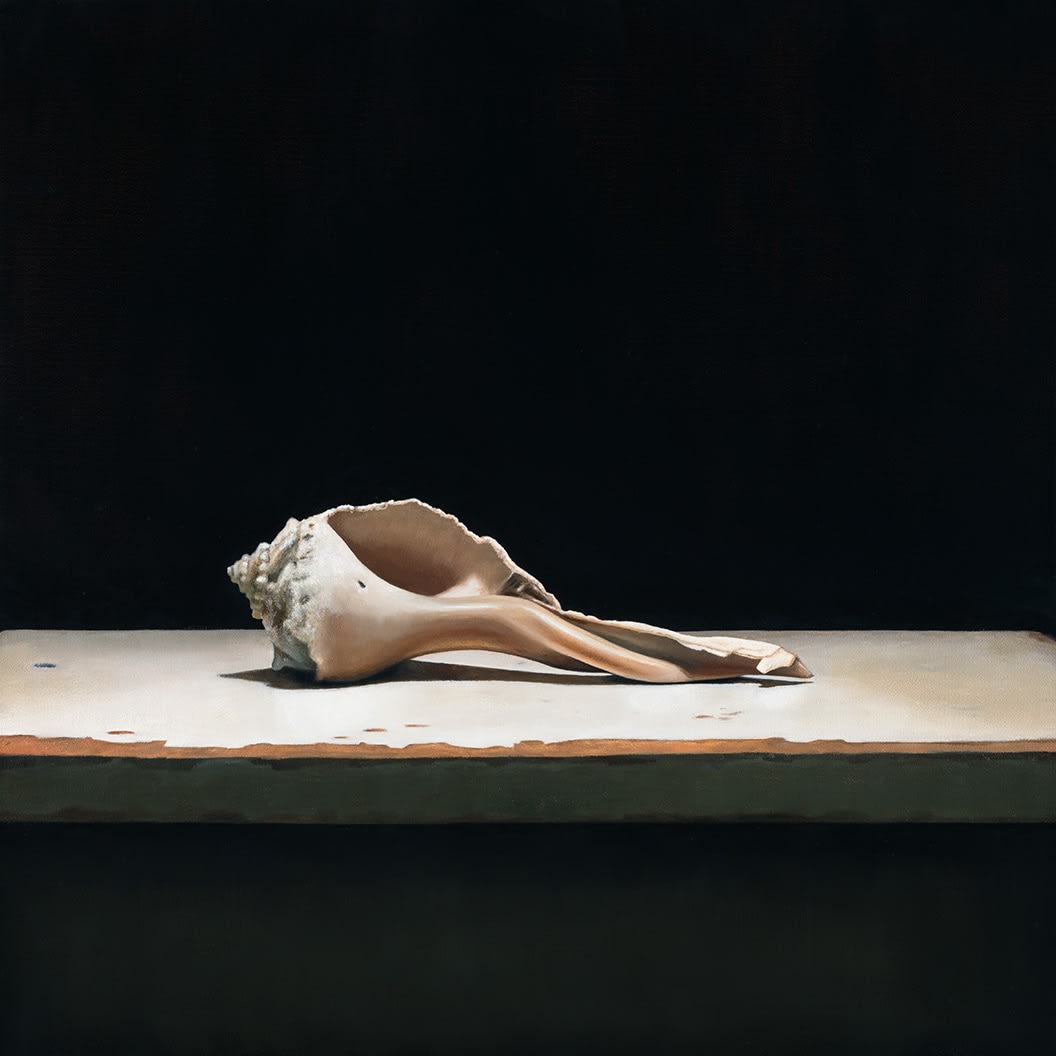Christopher Clamp, SEA SHELL I, 2024